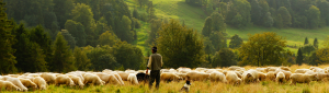 Sheep-farmer